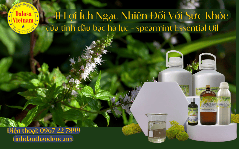13-loi-ich-cho-suc-khoe-cua-tinh-dau-bac-ha-luc-spearmint-essential-oil_2