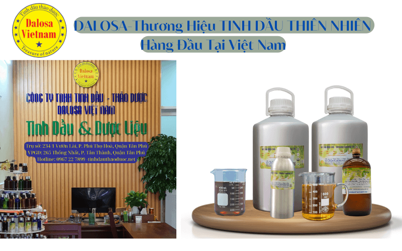 dalosa-thuong-hieu-tinh-dau-thien-nhien-hang-dau-vn