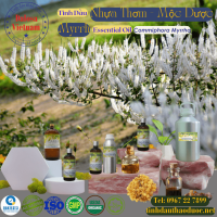 tinh-dau-nhua-thom-moc-duoc-myrrh-essential-oil-1-lit - ảnh nhỏ  1
