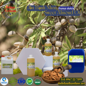 Dầu Hạnh Nhân - Sweet Almond 1 lít