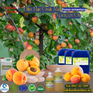 Dầu Hạt Quả Mơ - Apricot 1 Lít