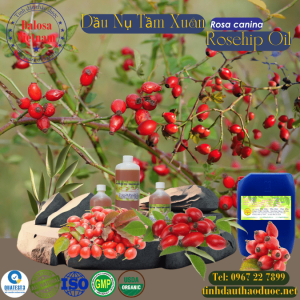 Dầu Nụ Tầm Xuân - Rosehip Oil 1 lít