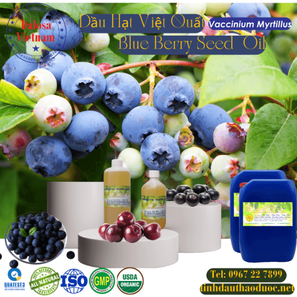 Dầu Hạt Việt Quất - Blue Berry Oil