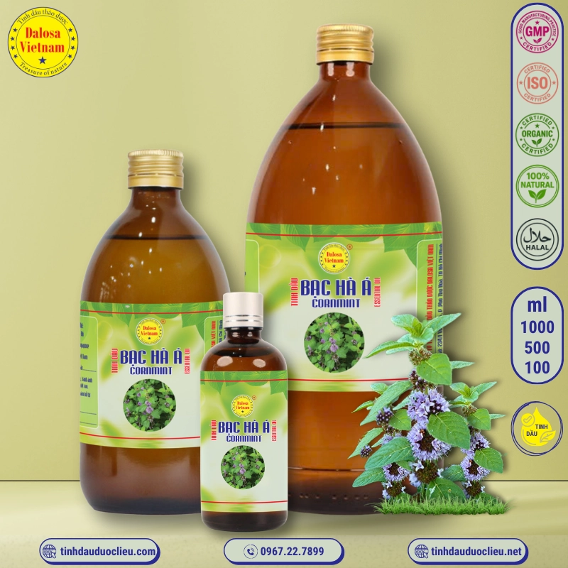 Tinh Dầu Bạc Hà Á - Cormint Essential Oil 2 tinh dau bac ha a – cormint essential oil