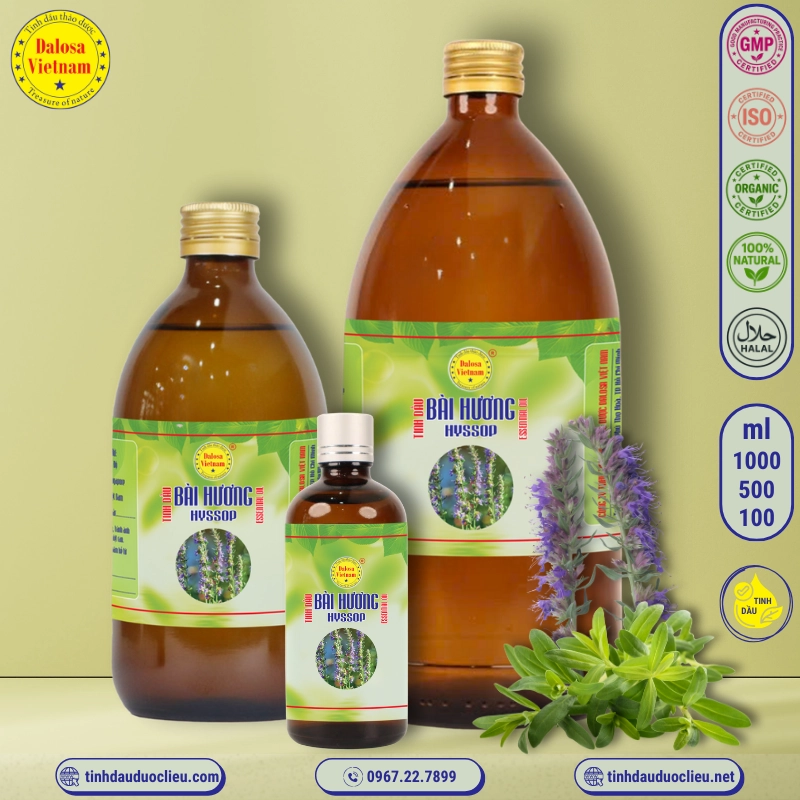 Tinh Dầu Bài Hương - Hyssop Essential Oil 1 tinh dau bai huong – hyssop essential oil