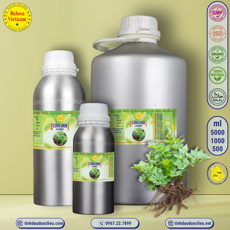 Tinh Dầu Cần Núi - Lovage Essential Oil 1 tinh dau can nui – lovage essential oil 2