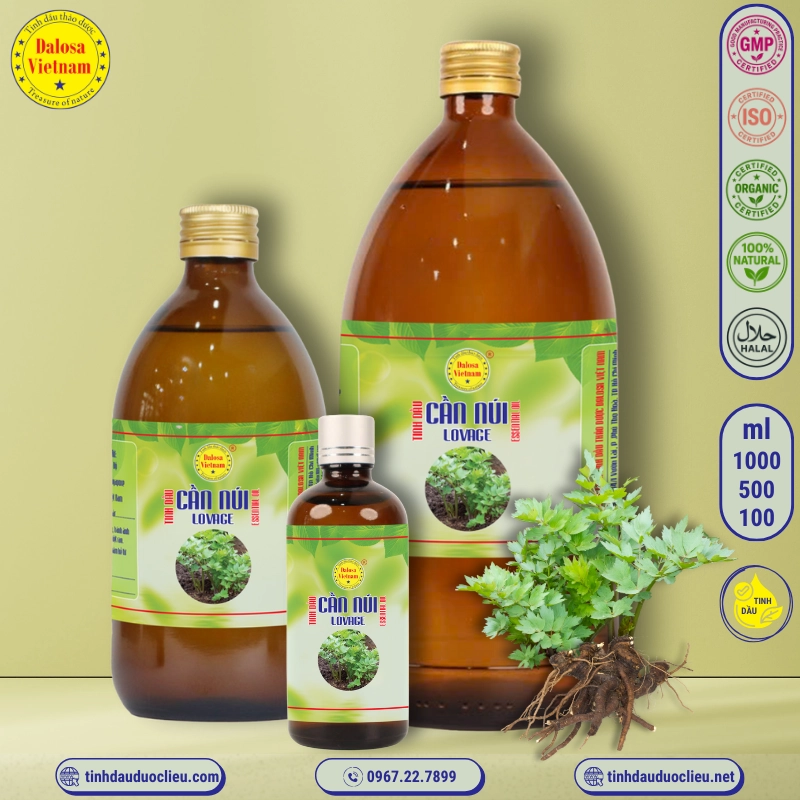 Tinh Dầu Cần Núi - Lovage Essential Oil 2 tinh dau can nui – lovage essential oil