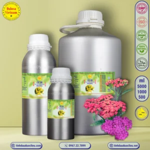 Tinh Dầu Cỏ Thi - Yarrow Essential Oil 3 tinh dau co thi cuc van diep duong ky – yarrow essential oil 2