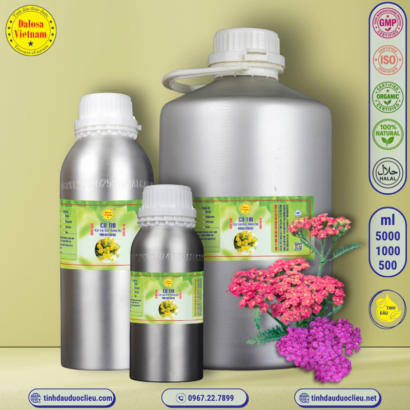 Tinh Dầu Cỏ Thi - Yarrow Essential Oil 2 tinh dau co thi cuc van diep duong ky – yarrow essential oil 2