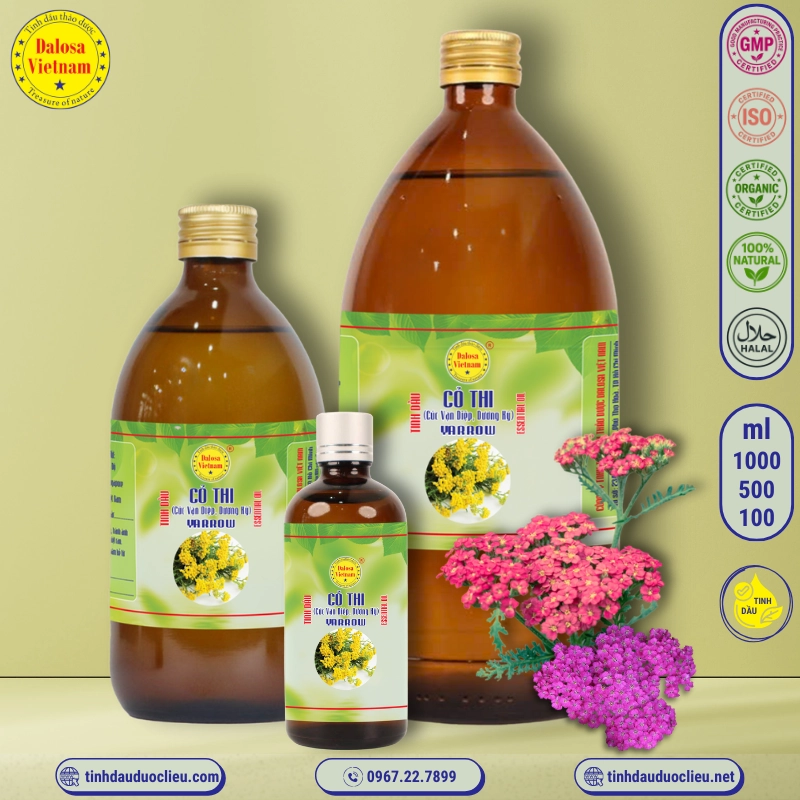 Tinh Dầu Cỏ Thi - Yarrow Essential Oil 1 tinh dau co thi cuc van diep duong ky – yarrow essential oil