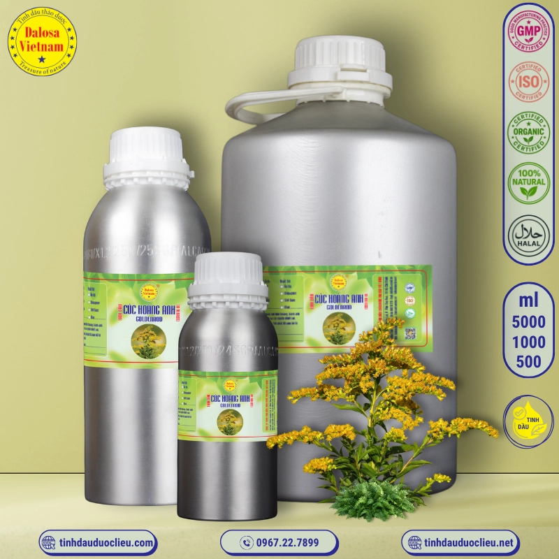 Tinh Dầu Cúc Hoàng Anh - Goldenrod Essential Oil 1 tinh dau cuc hoang anh – goldenrod essential oil 2