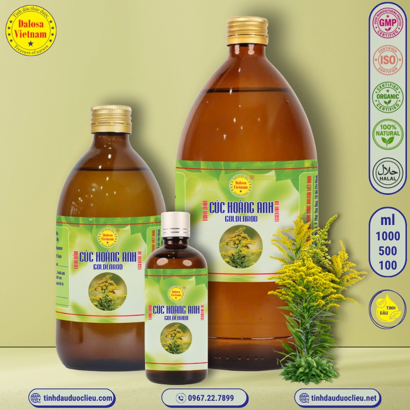 Tinh Dầu Cúc Hoàng Anh - Goldenrod Essential Oil 2 tinh dau cuc hoang anh – goldenrod essential oil