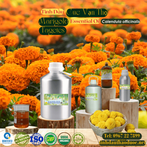 Tinh Dầu Cúc Vạn Thọ - Marigold Essential Oil