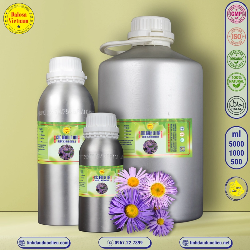 Tinh Dầu Hoa Cúc Xanh - Blue Chamomile Essential Oil 2 tinh dau cuc xanh la ma hoa cuc xanh – blue chamomile essential oil 2