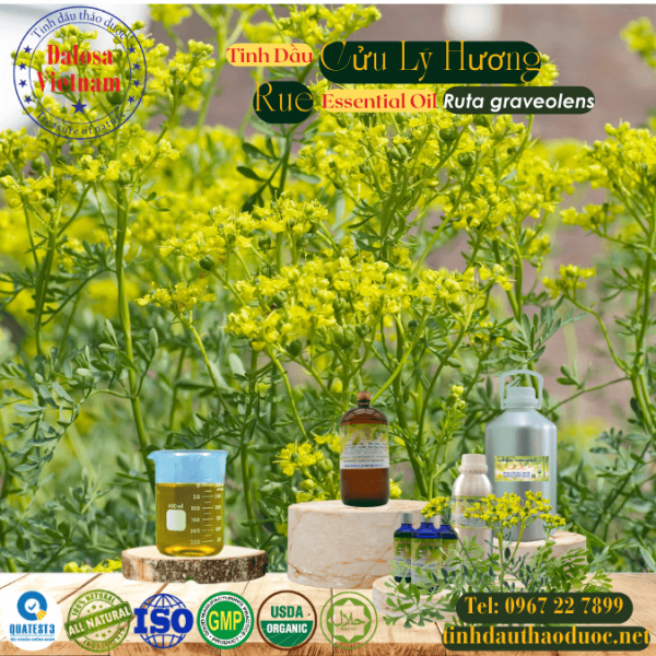 Tinh Dầu Cửu Lý Hương - Rue Essential Oil