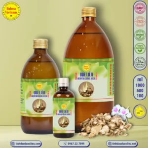 Tinh Dầu Địa Liền - Kencur Essential Oil