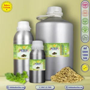 Tinh Dầu Hạt Cần Tây - Celery Seed Essential Oil 3 tinh dau hat can tay – celery seed essential oil 2