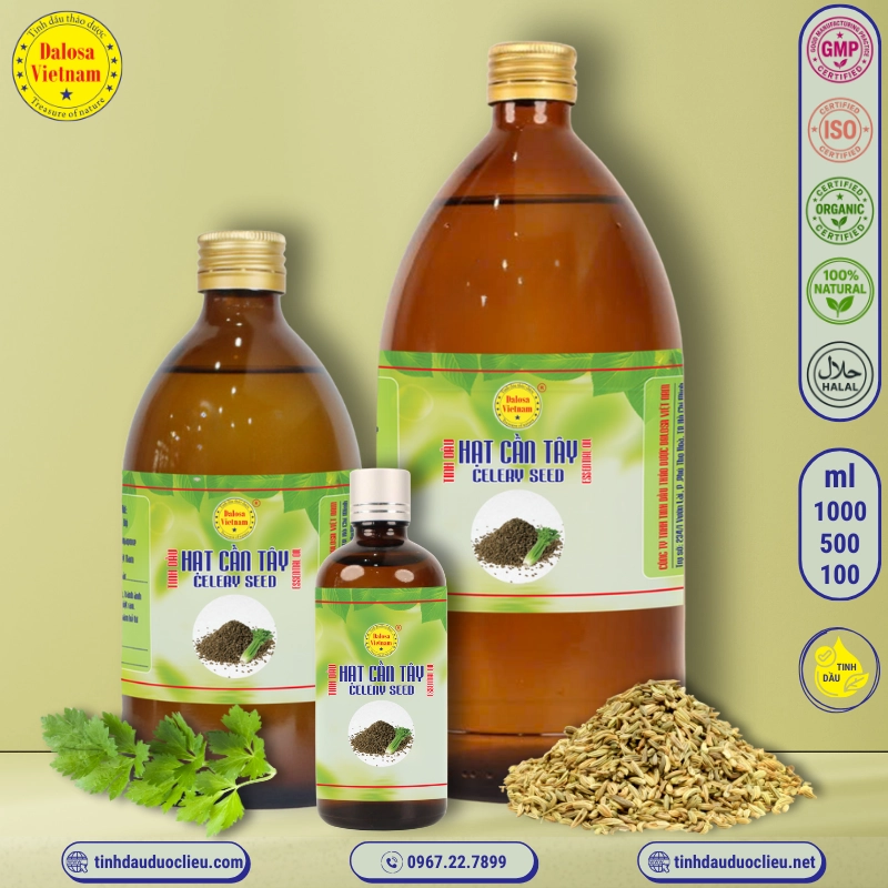 Tinh Dầu Hạt Cần Tây - Celery Seed Essential Oil 1 tinh dau hat can tay – celery seed essential oil