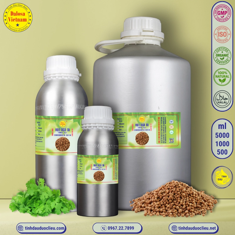 Tinh Dầu Hạt Ngò Ta - Mùi Ta - Coriander Essential Oil 2 tinh dau hat ngo ta mui ta – coriander essential oil 2