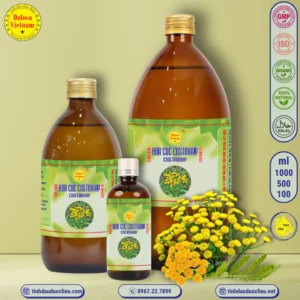 tinh dau hoa cuc costmary costmary alecost balsam herb costmarie bible leaf alecoast costus sweet mary essential oil