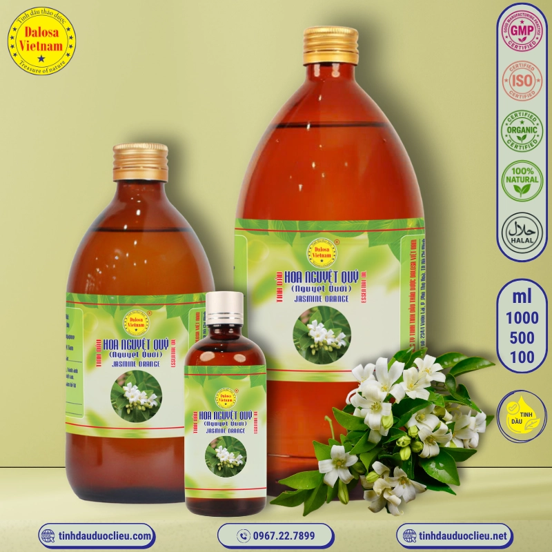 Tinh Dầu Hoa Nguyệt Quới - Jasmine Orange Essential Oil 1 tinh dau hoa nguyet quy nguyet quoi jasmine orange murraya paniculata essential oil