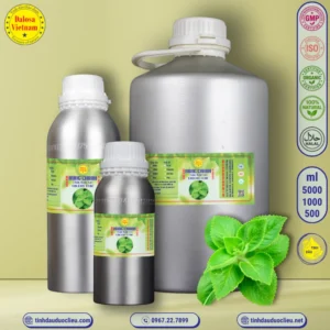 Tinh Dầu Húng Chanh (Tần Dày Lá)- Coleus Leaf Essential Oil 3 tinh dau hung chanh tan day la coleus leaf essential oil 2