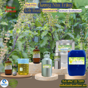 Tinh Dầu Hương Nhu Trắng - Holy Basil Essential Oil 1 lít