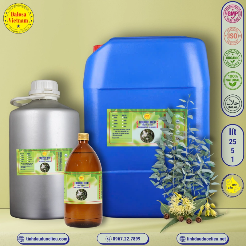Tinh Dầu Khuynh Diệp - Eucalyptus Globulus Essential Oil 1 tinh dau khuynh diep bach dan eucalyptus globulus eucalyptus globulus essential oil 3
