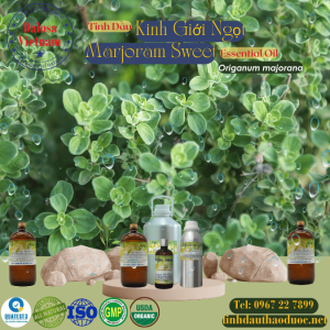 Tinh Dầu Kinh Giới Ngọt - Marjoram Sweet Essential Oil 1 Lít