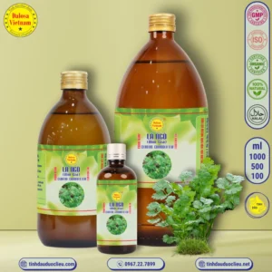 tinh dau la ngo rau mui gia cilantro coriander leaf coriandrum sativum essential oil