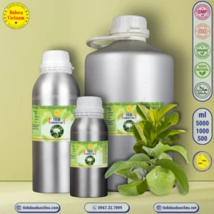 Tinh Dầu Lá Ổi - Guava Essential Oil 3 tinh dau la oi guava psidium guajava essential oil 2