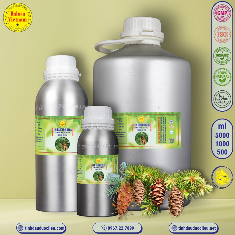 Tinh Dầu Linh Sam Hoàng Sam - Douglas Fir Essential Oil 1 tinh dau linh sam douglas linh sam hoang sam douglas fir pseudotsuga menziesii essential oil 2