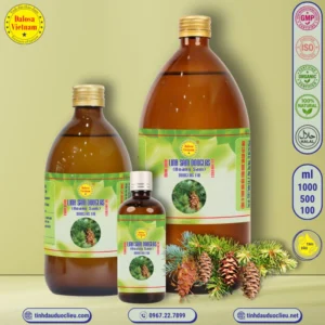 Tinh Dầu Linh Sam Hoàng Sam - Douglas Fir Essential Oil 3 tinh dau linh sam douglas linh sam hoang sam douglas fir pseudotsuga menziesii essential oil