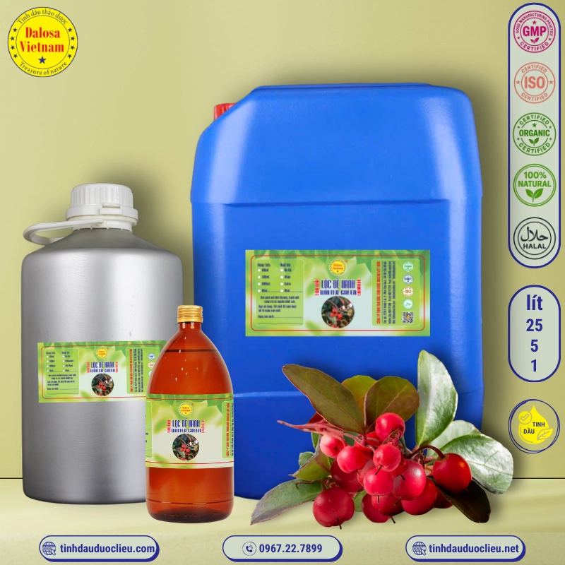 Tinh Dầu Châu Thụ - Gandhapura Essential Oil 3 tinh dau loc de xanh chau thu winter green gandhapura gaultheria procumben essential oil 3