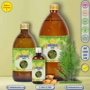 Tinh Dầu Nhai Bách - Thuja Essential Oil 3 tinh dau nhai bach thuja occidentalis essential oil