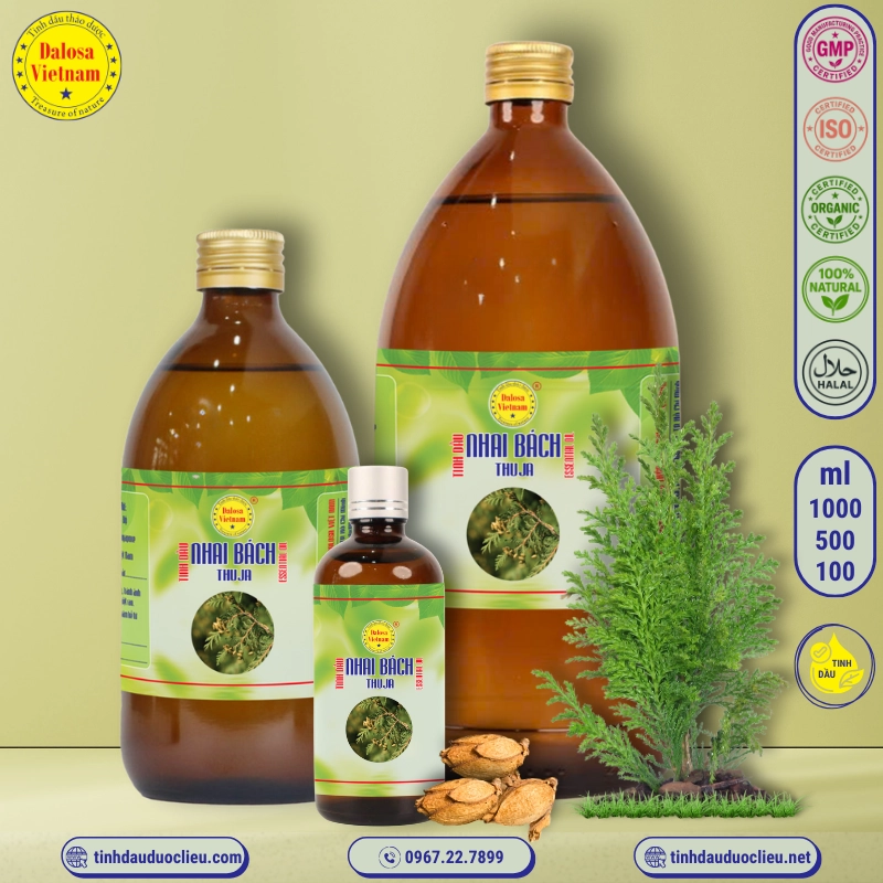 Tinh Dầu Nhai Bách - Thuja Essential Oil 2 tinh dau nhai bach thuja occidentalis essential oil
