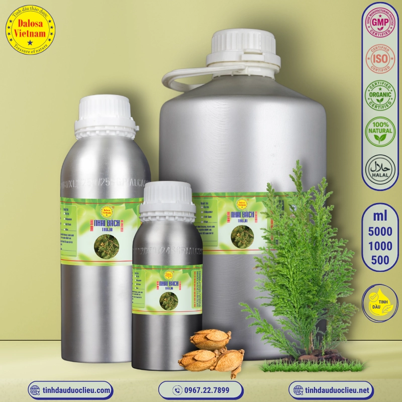 Tinh Dầu Nhai Bách - Thuja Essential Oil 1 tinh dau nhai bach thuja thuja occidentalis essential oil 2