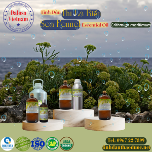 Tinh Dầu Thì Là Biển - Sea Fennel Essential Oil 1 Lít