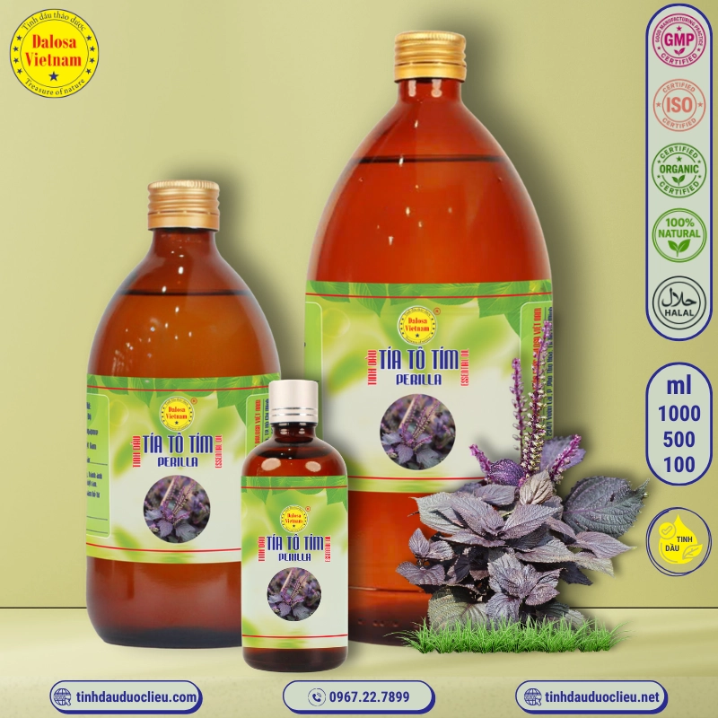 Tinh Dầu Tía Tô Tím - Perilla Essential Oil 1 tinh dau tia to tim perilla perilla frutescens essential oil
