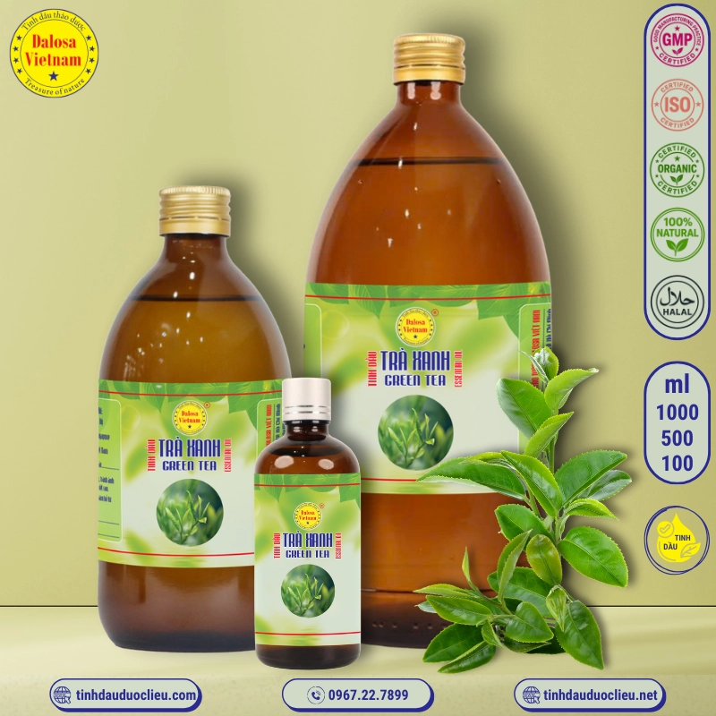 Tinh Dầu Trà Xanh - Green Tea Essential Oil 1 tinh dau tra xanh green tea camellia sinensis essential oil