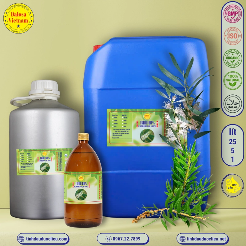 Tinh Dầu Tràm 60% - Eucalyptus Essential Oil 1 tinh dau tram 60 eucalyptus 60 cineol melaleuca cajeputi essential oil 3