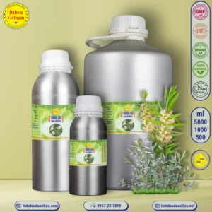 Tinh Dầu Tràm Gió - Cajeput Essential Oil 5 tinh dau tram gio cajeput oleum cajeputi essential oil 2