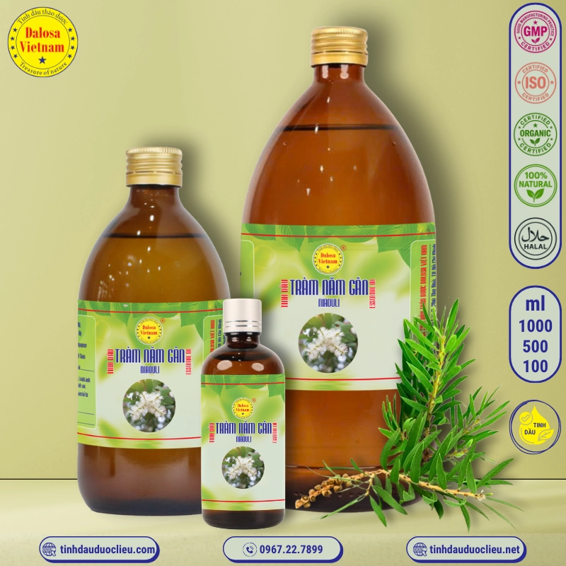Tinh Dầu Tràm Năm Gân - Niaouli Essential Oil 2 tinh dau tram nam gan niaouli maleleuca quinquenervia essential oil