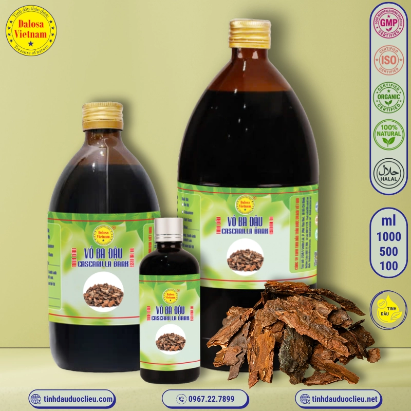 Tinh Dầu Vỏ Ba Đậu - Cascarilla Essential Oil 1 tinh dau vo ba dau cascarilla croton eluteria essential oil