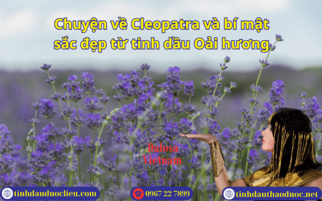 Chuyện về Cleopatra và bí mật sắc đẹp từ tinh dầu Oải hương