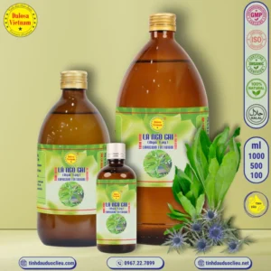 Tinh Dầu Lá Ngò Gai - Eryngium foetidum Essential Oil