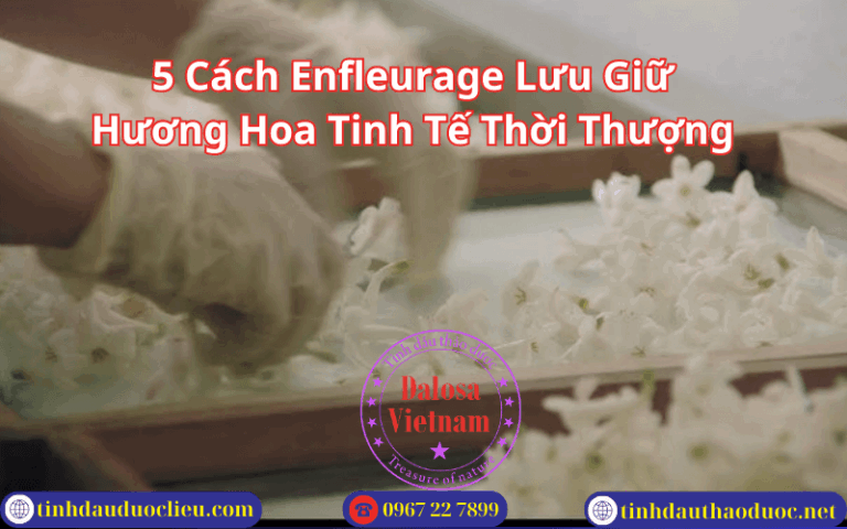 5 Cách Enfleurage Lưu Giữ Hương Hoa Tinh Tế Thời Thượng