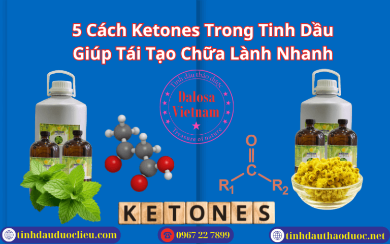 Ketones Trong Tinh Dầu Giúp Tái Tạo Chữa Lành Vết Thương