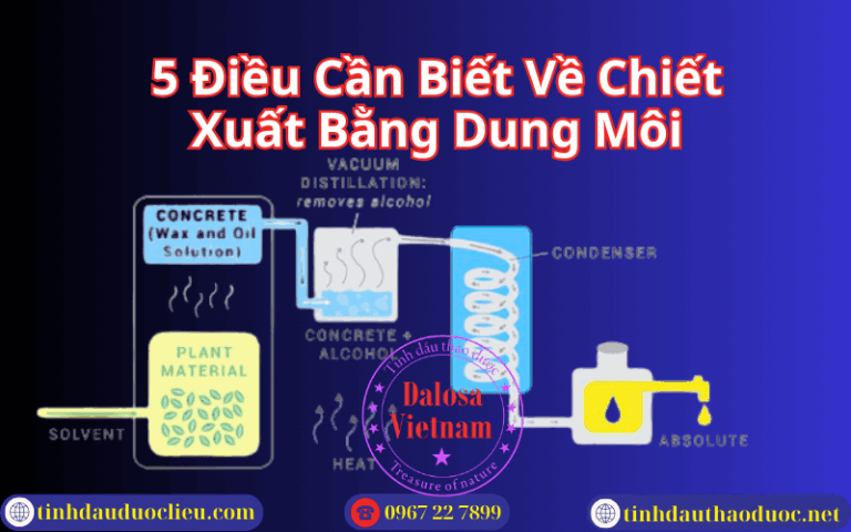 5 Điều Cần Biết Về Chiết Xuất Bằng Dung Môi: Hiệu Quả Cao Cho Nguyên Liệu Nhạy Cảm
