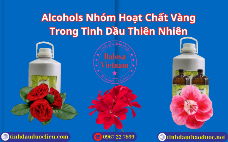 Alcohols Nhóm Hoạt Chất Vàng Trong Tinh Dầu Thiên Nhiên